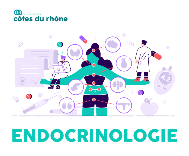 L Endocrinologie Qu Est Ce Que C Est Noalys